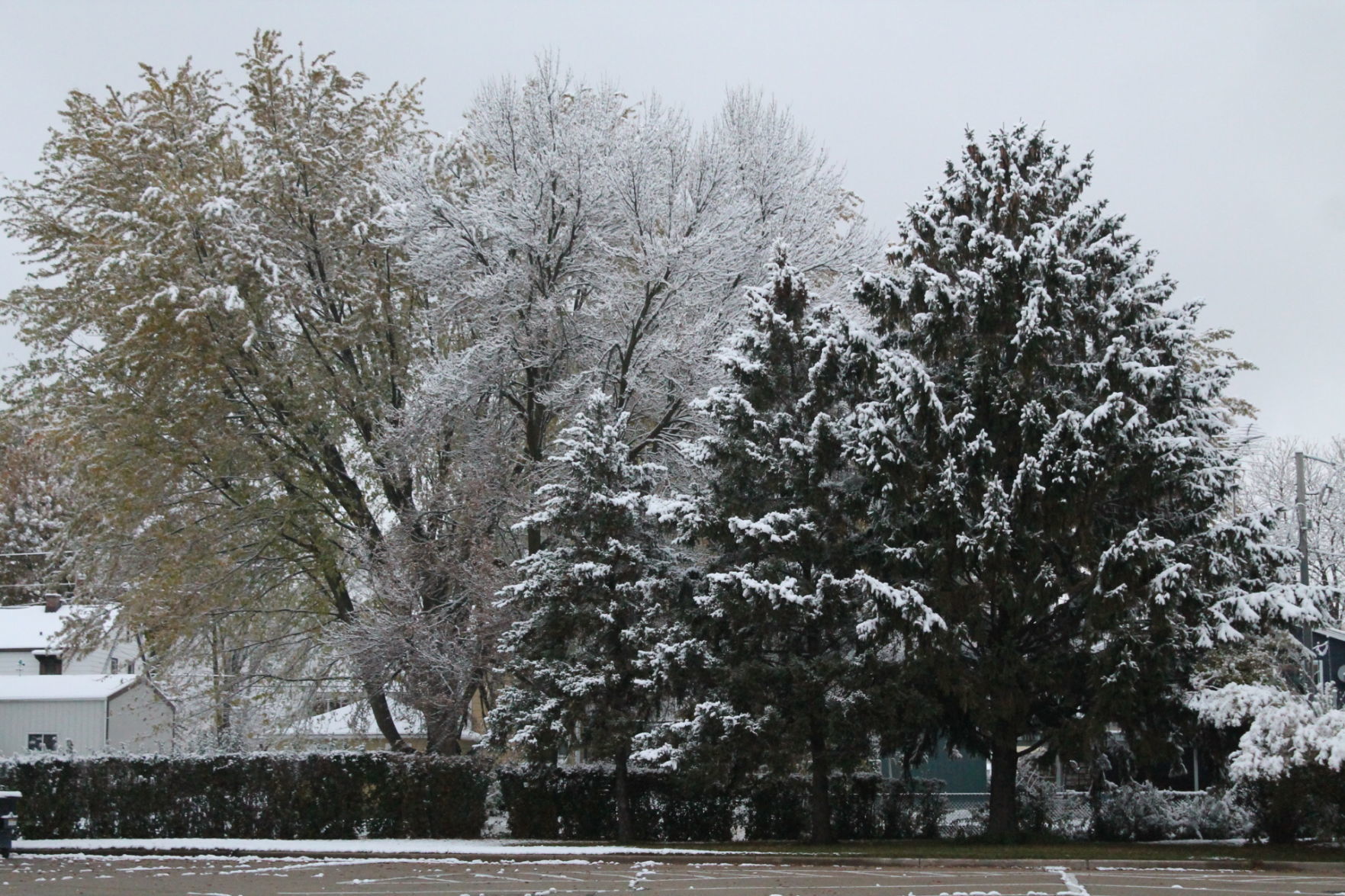 102919 snow 006.JPG